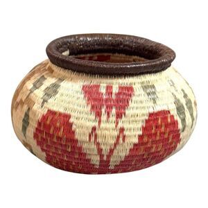 Wounaan Embera Extra Fine Tight Vibrant Butterfly Weaved Basket Rare Rain Forest